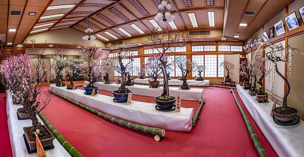 🏯 고리야마 성터(코리야마조아토) 이미지 11